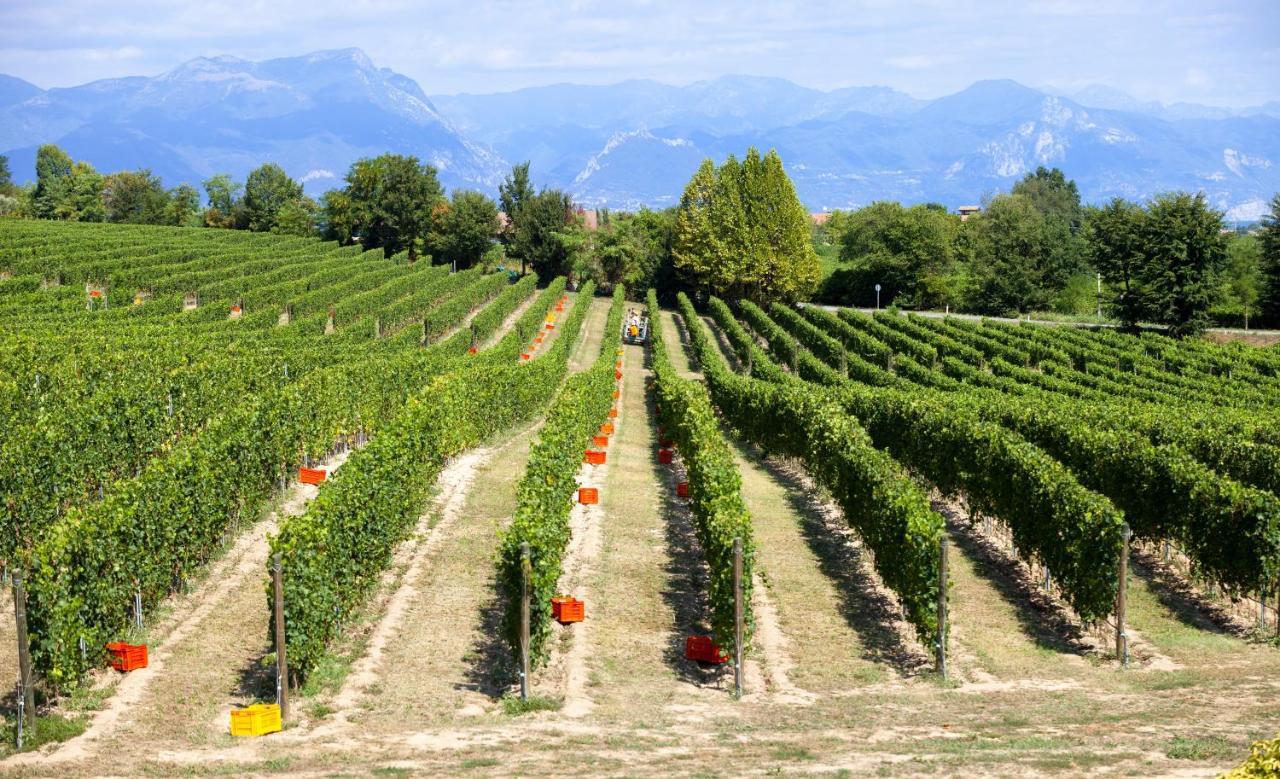 Cobue "Wine Resort & Spa" Pozzolengo Buitenkant foto