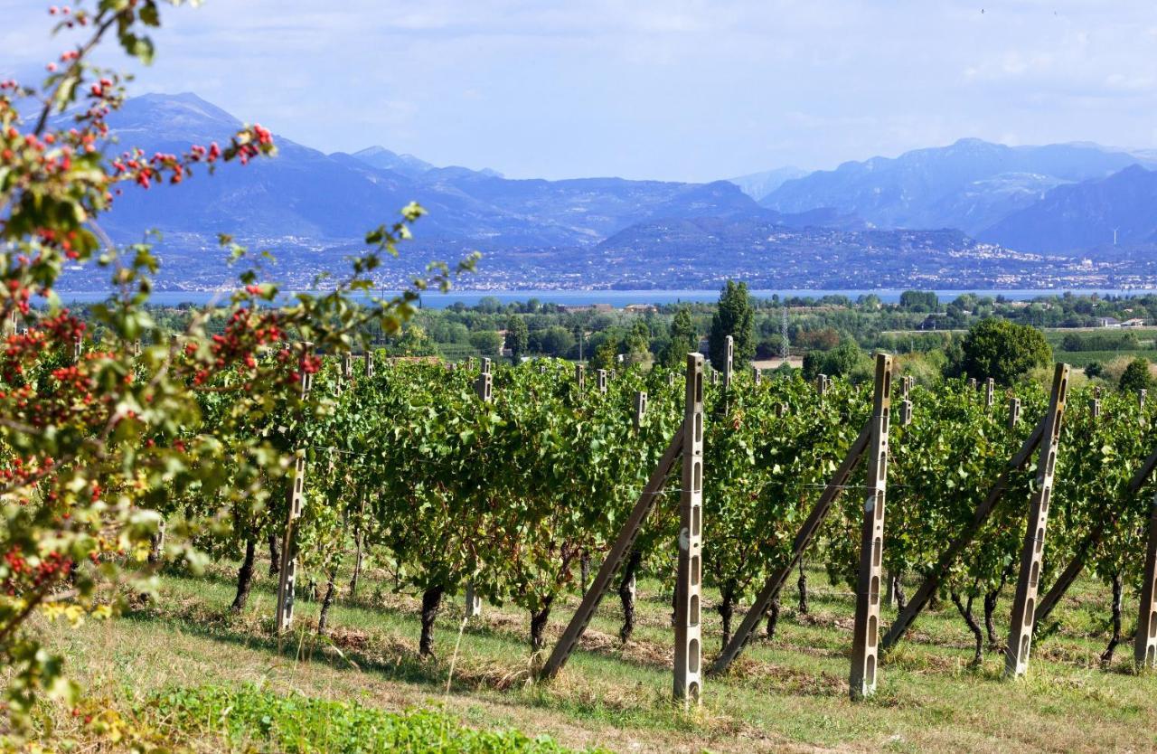 Cobue "Wine Resort & Spa" Pozzolengo Buitenkant foto