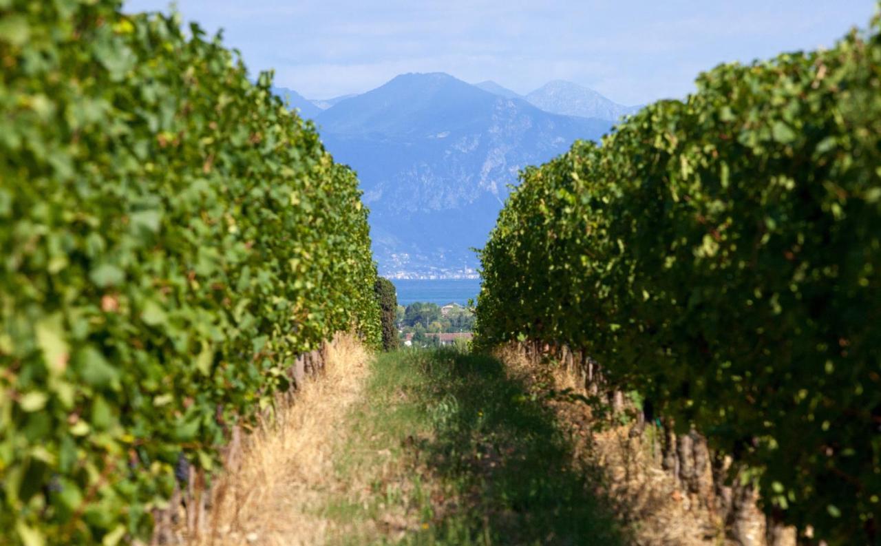 Cobue "Wine Resort & Spa" Pozzolengo Buitenkant foto