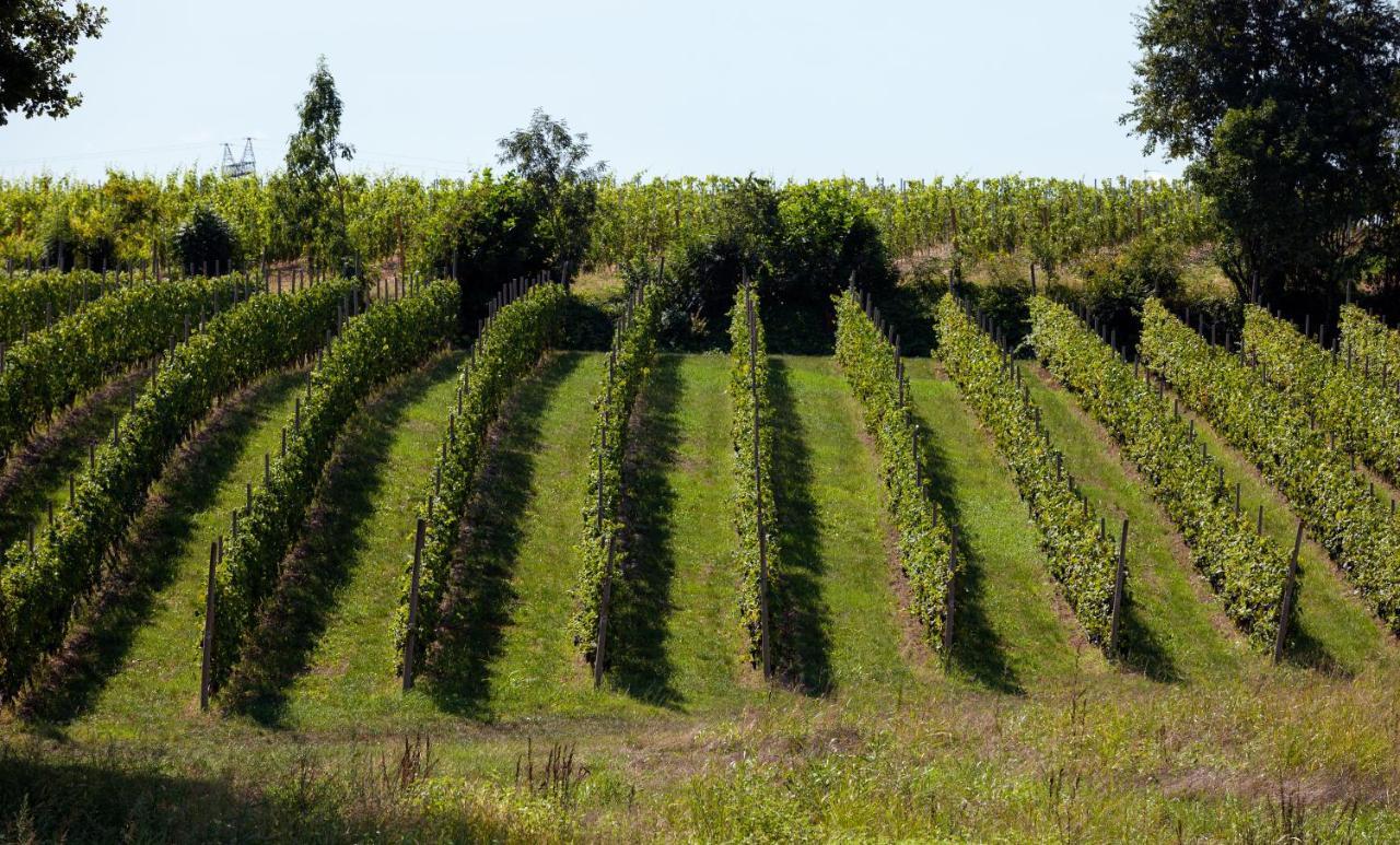 Cobue "Wine Resort & Spa" Pozzolengo Buitenkant foto